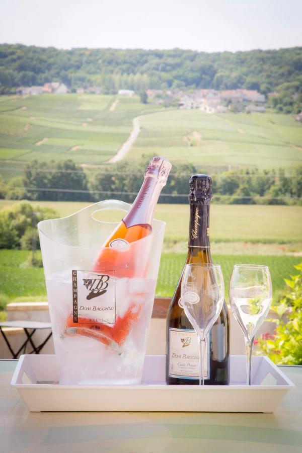 Domaine Bacchus Bed and breakfast Reuil-sur-Marne