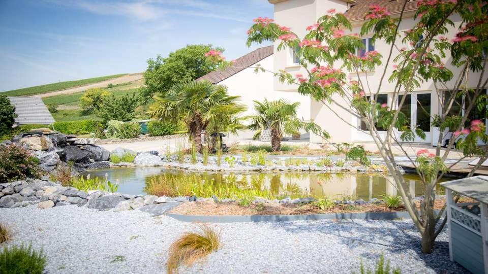 Domaine Bacchus *